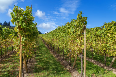 Similar image 21042193