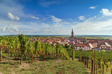 Similar image 21042194