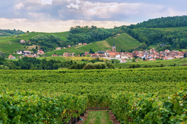 Similar image 21042213