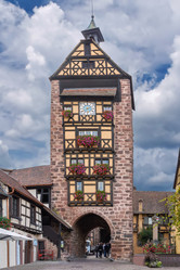 Similar image 21042225