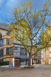 Similar image 21039700