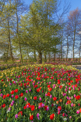 Similar image 21041749