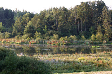 Similar image 21021849