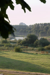 Similar image 21021850