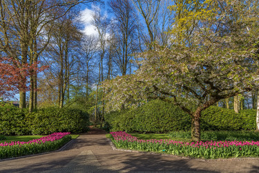 Similar image 21042239