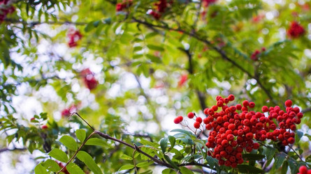 Similar image 21030519