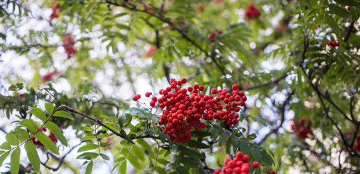 Similar image 21030520