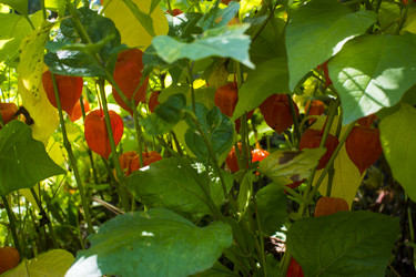 Similar image 21030522