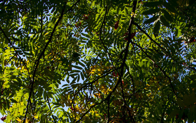 Similar image 21030525