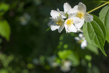 Similar image 21030526