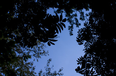 Similar image 21030529