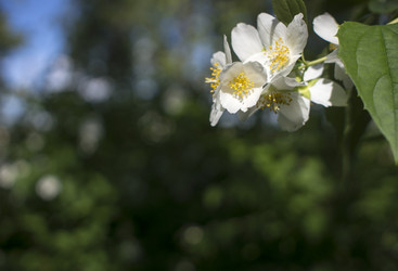 Similar image 21030530