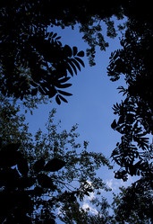 Similar image 21030531