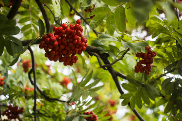 Similar image 21030533