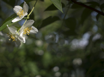 Similar image 21030534