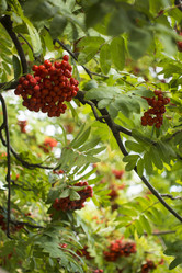 Similar image 21030535