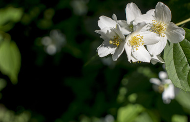 Similar image 21030536