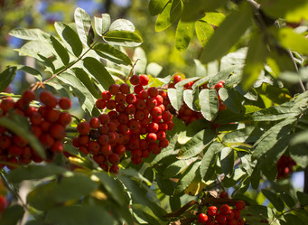 Similar image 21030539