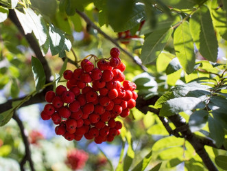 Similar image 21030540