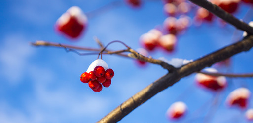 Similar image 21030543