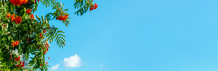 Similar image 21030545