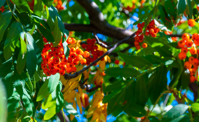 Similar image 21030547