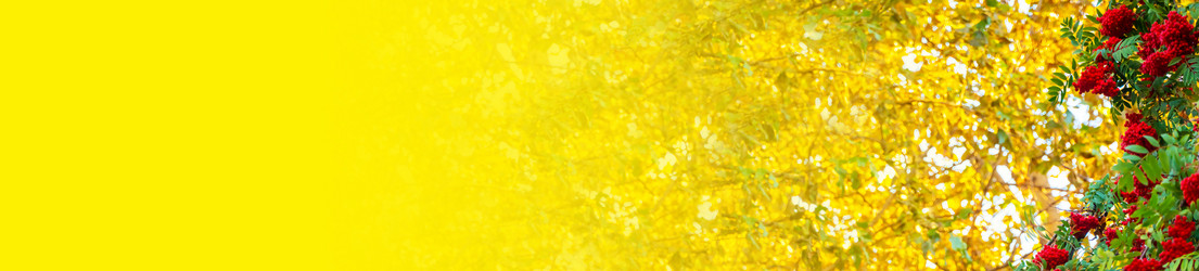 Similar image 21030250