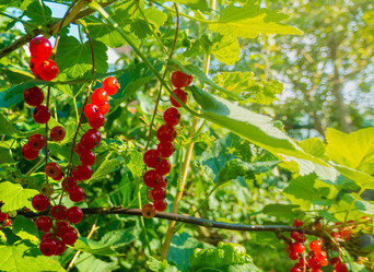 Similar image 21030253