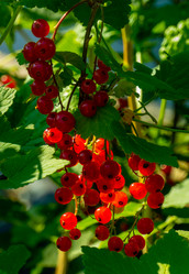 Similar image 21030260