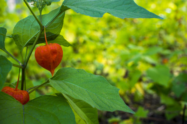 Similar image 21030271