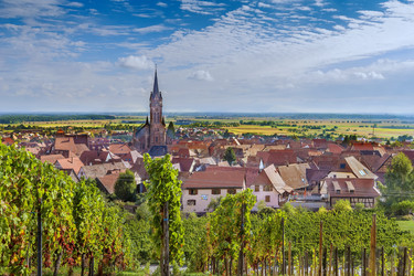 Similar image 21034701