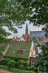 Similar image 21034715