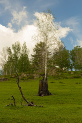 Similar image 21037384