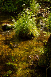 Similar image 21037385