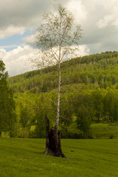 Similar image 21037396