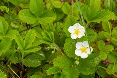 Similar image 21037397