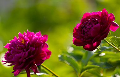 Similar image 21037399