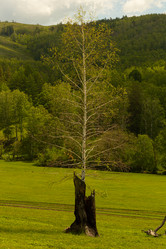 Similar image 21037400