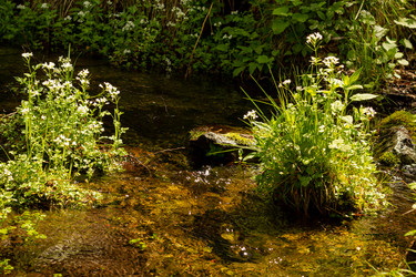 Similar image 21037401