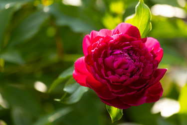 Similar image 21037402