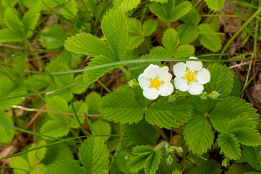 Similar image 21037404