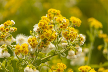 Similar image 21037141