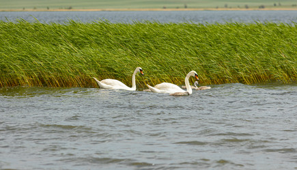 Similar image 21037145