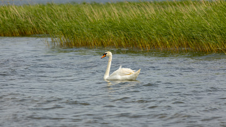 Similar image 21037148