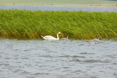 Similar image 21037150