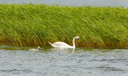 Similar image 21037153