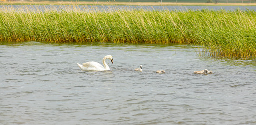 Similar image 21037157