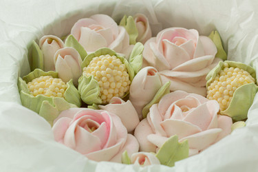 Similar image 21037158