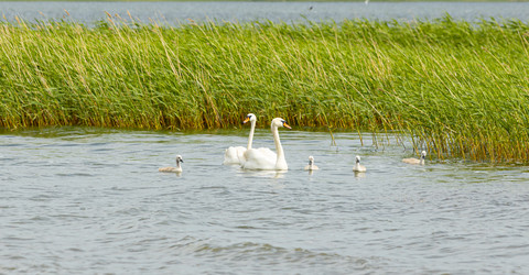 Similar image 21037159