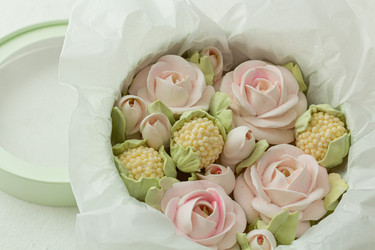 Similar image 21037160